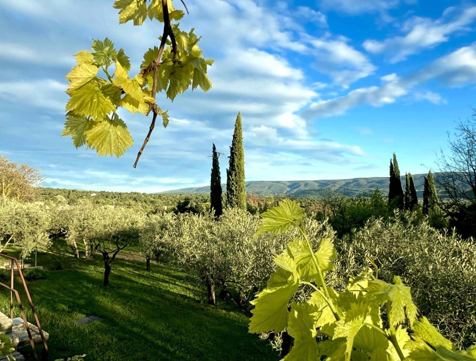 Bed and Breakfast Provence Km28 Gordes Zewnętrze zdjęcie