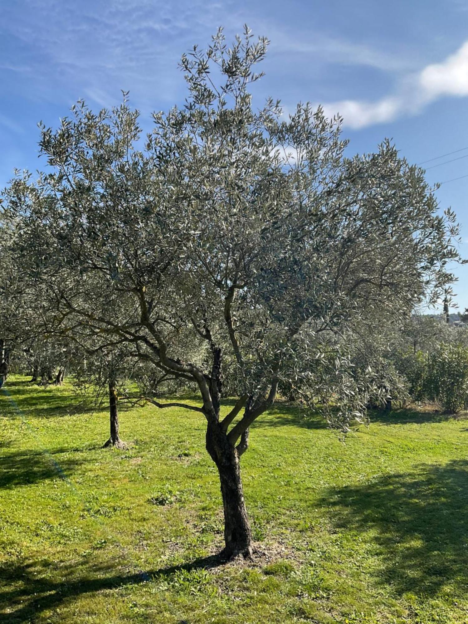 Bed and Breakfast Provence Km28 Gordes Zewnętrze zdjęcie