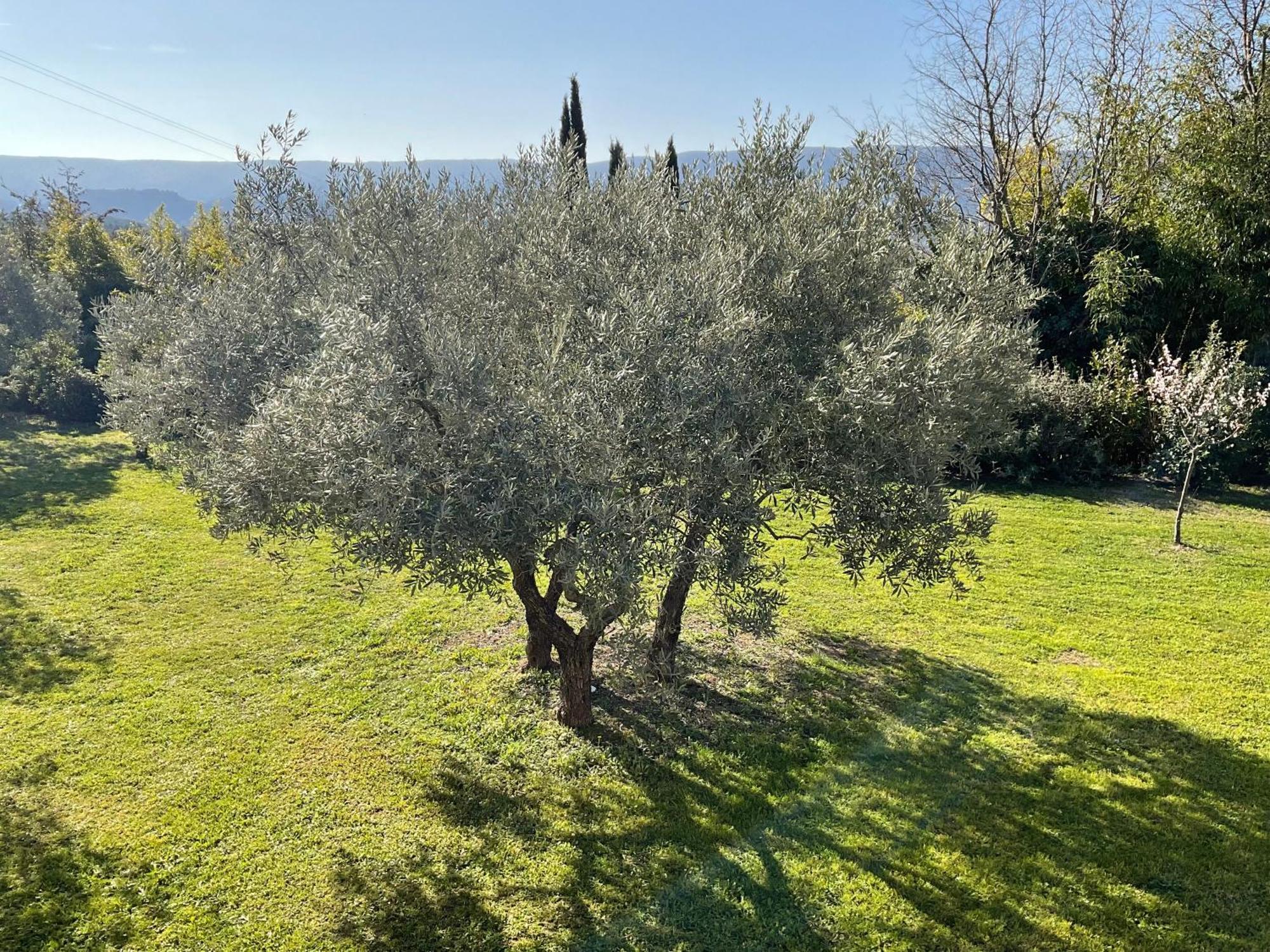 Bed and Breakfast Provence Km28 Gordes Zewnętrze zdjęcie