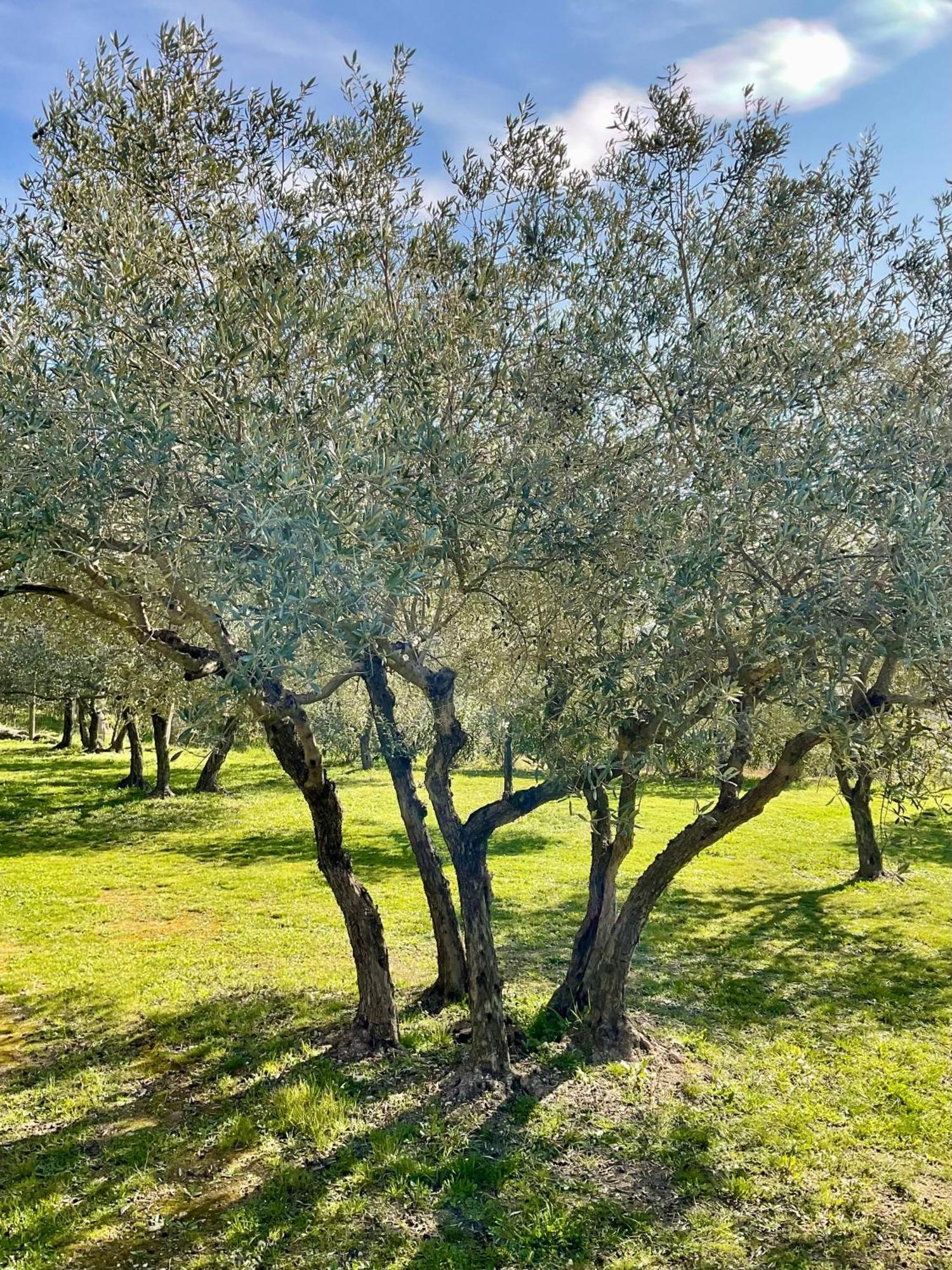 Bed and Breakfast Provence Km28 Gordes Zewnętrze zdjęcie